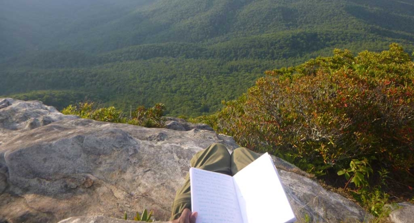 From the viewpoint of a person, an open book lays in their lap. Below them is a vast forested area. 